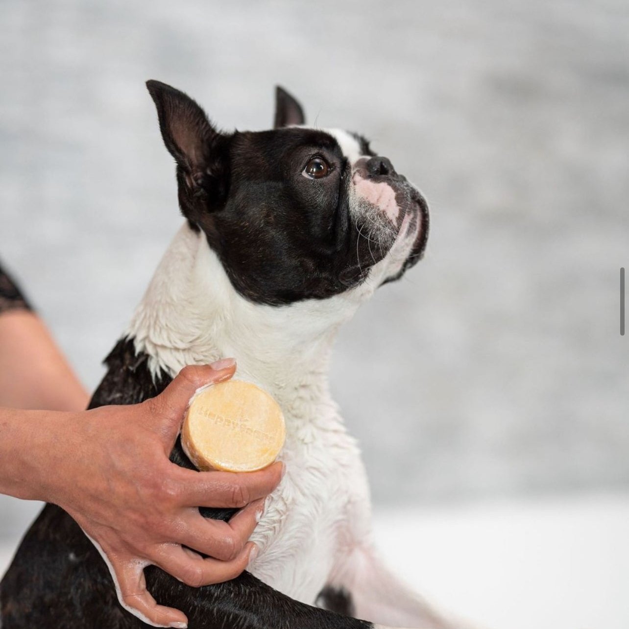 HappySoaps Shampoo Bar